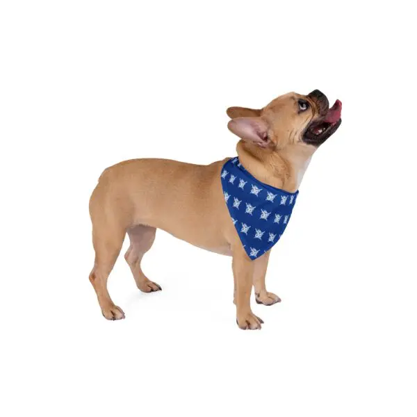 Dragon Slayer Dog Bandana - Image 8